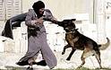 Israel,Terrorist,state,Attacks,to,Palestine (12)